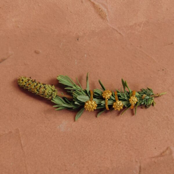 Anillos Charros Filigrana Charra en Oro