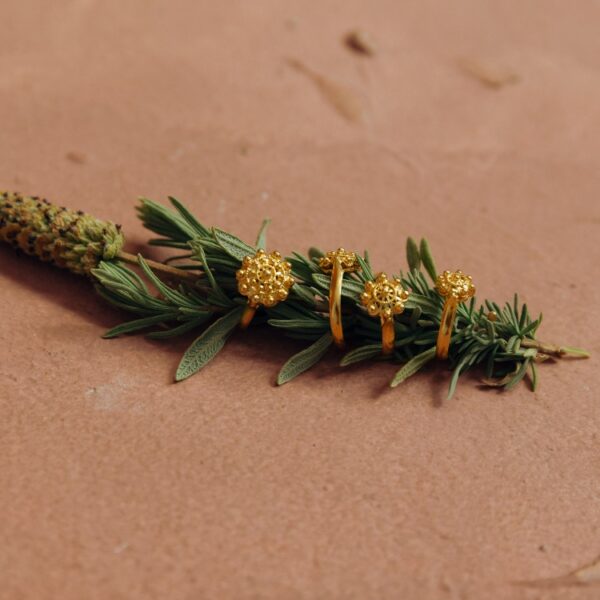 Anillos Charros Filigrana Charra en Oro